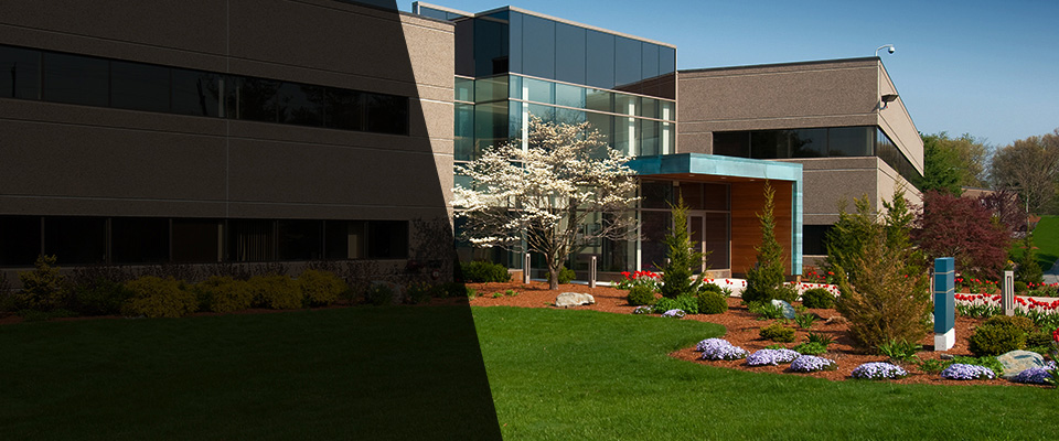 Lionville Landscapers