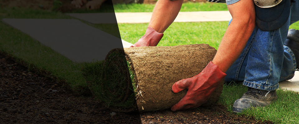 Lionville Landscapers